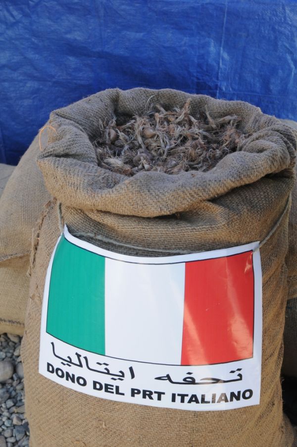 Afghanistan/ Herat. Cooperazione e sostegno&nbsp;all’agricoltura