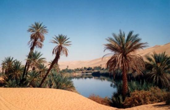 Libia/ Partecipazione collettiva alla Libya Build&nbsp;2012