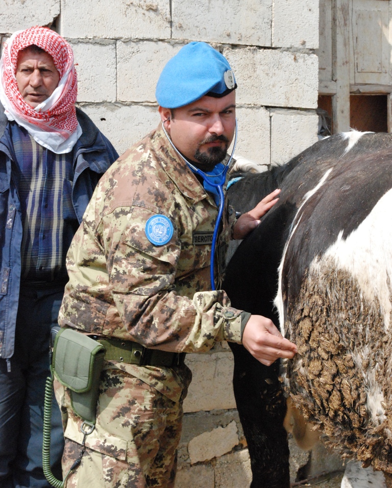 Libano/ Medicina veterianaria. Interventi strategici sul futuro della zootecnia&nbsp;libanese