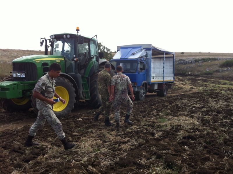 Spinazzola/ Parco Alta Murgia. I militari della “Pinerolo” ritrovano un camion rubato a&nbsp;Trinitapoli