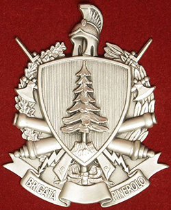 Afghanistan/ Esercito Italiano. La “Pinerolo” in azione in un video&nbsp;entusiasmante